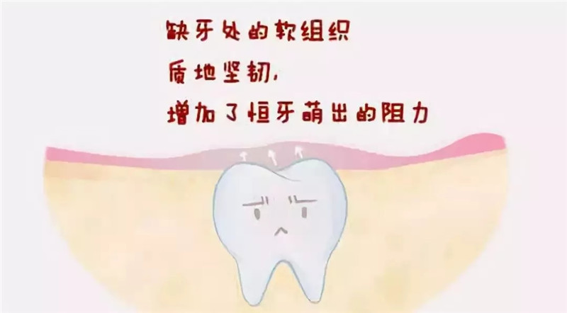 640.webp (13).jpg