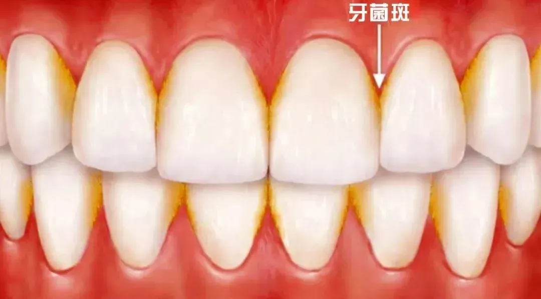 640.webp.jpg